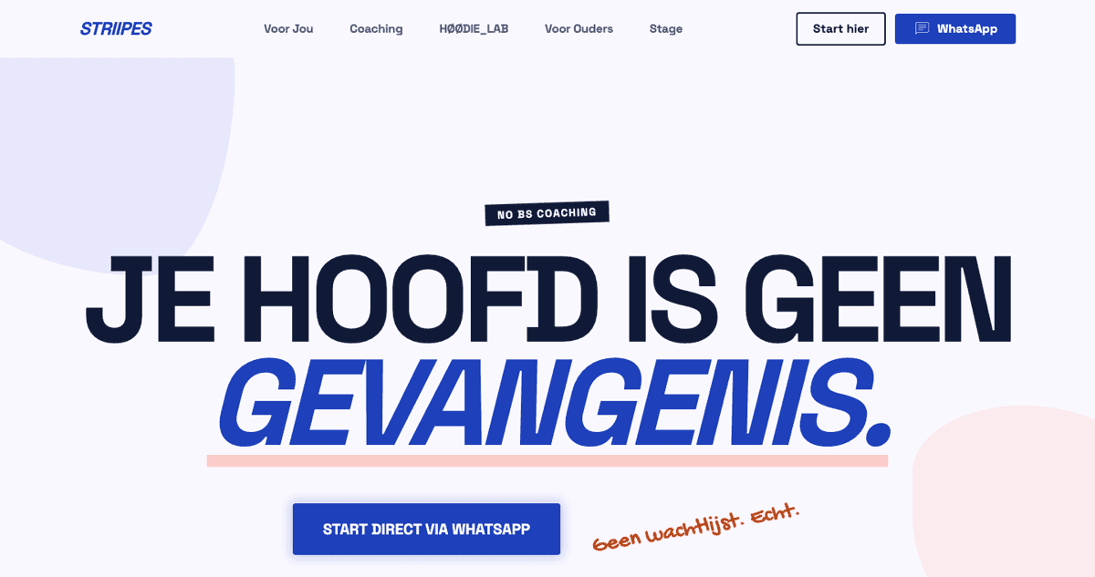 Homepage van Striipes